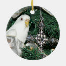 Search for budgie ornaments Cute