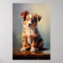 Recherche de chien berger australien posters Merle