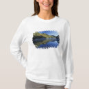 Search for daniel boone Nature