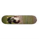 Search for cow skateboards Nature