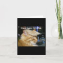 Search for comma cards Cat lady
