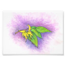 Search for herb illustration posters Flower