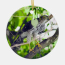 Search for grapevine ornaments Nature