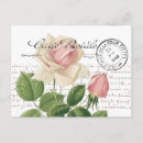Recherche de fleurs françaises cartes postales Rose