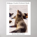 Recherche de mer posters Sauvage