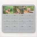 Search for red fox electronics Nature