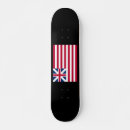 Search for revolution skateboards Flag