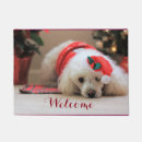 Search for poodle doormats Puppy