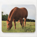 Search for chestnut mousepads Brown