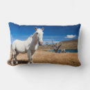Recherche de amérique latine coussins Chili