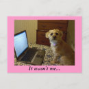 Search for border terriers postcards Puppy
