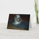 Search for adoption congratulations cards Puppy
