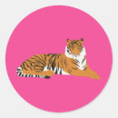 Search for orange tiger stickers Safari