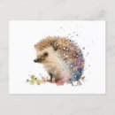 Recherche de hérisson mignon cartes postales Capricieux