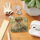 Search for cute lion keychains Animals in the wild