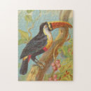 Recherche de toucan puzzles Oiseaux tropicaux