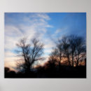 Search for soft focus posters Nature