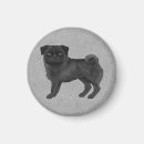 Search for black pug magnets Animal