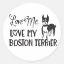 Search for boston terrier dad Puppies