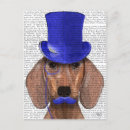 Recherche de moustache bleue cartes postales Animaux