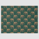 Search for elephant tissue paper Leopard