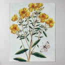 Search for 73 posters Flowers