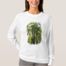 Search for rotorua Tree