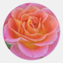 Search for scrap stickers Floral