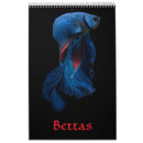Recherche de bêtas poissons Aquarium