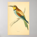 Search for bird migration posters Birds