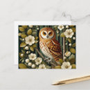 Search for bird lover postcards Cute