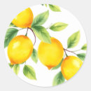 Search for lemon leaves stickers Yellow