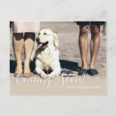 Search for dog greeting invitations Coming soon