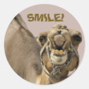 Search for big smiling face stickers Smile