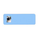 Search for siamese labels Feline