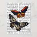 Search for butterfly dog postcards Butterflies