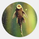 Search for sucker stickers Fish