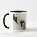 Recherche de poussin mignon tasses Animal