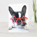 Search for eyeglasses cards Domestic animals