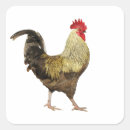 Search for cockerel stickers Bird