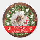 Search for in loving memory magnets Pet