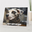 Search for spotted dog cards Dalmatian