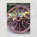 Search for flower wheels postcards Nature