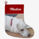 Search for wear christmas stockings Xmas
