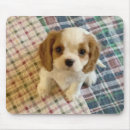 Recherche de roi tapis souris Chiot