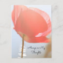 Recherche de poppy cartes postales Fleur sauvage
