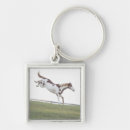 Search for vitality keychains Full length
