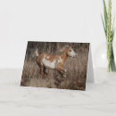 Search for bob cards Breed