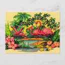 Search for floridian postcards Flamingo