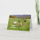 Recherche de photo de chèvre vœux cartes Animaux